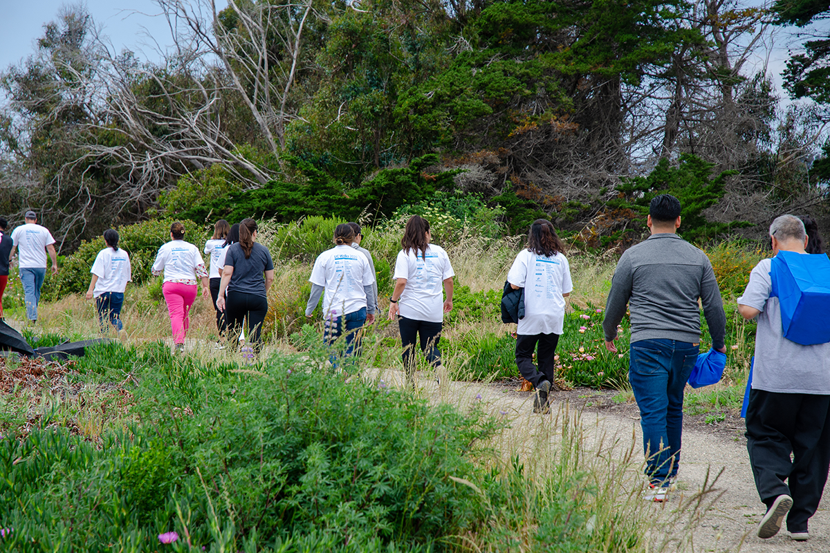 Wellness Walk