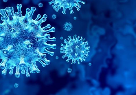 COVID virus magnified