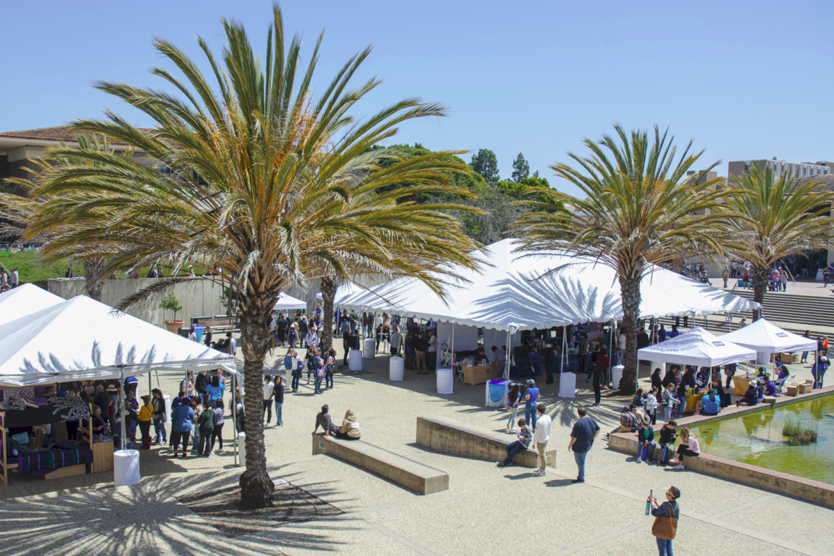 Housing Fair from Above